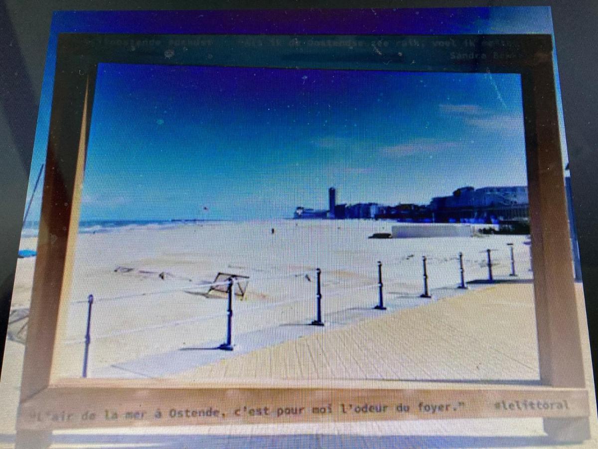 Tiny Apt W/ Balcony And Seaview, Even Out Of Your Bed ! Oostende Exterior foto